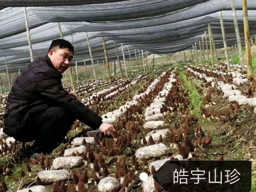 &#26131;&#28216;&#40;&#20013;&#22269;&#41;&#121;&#105;&#121;&#111;&#117;