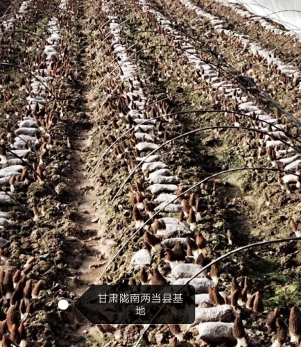 &#26131;&#28216;&#40;&#20013;&#22269;&#41;&#121;&#105;&#121;&#111;&#117;