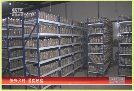 &#26131;&#28216;&#40;&#20013;&#22269;&#41;&#121;&#105;&#121;&#111;&#117;