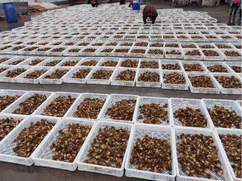 &#26131;&#28216;&#40;&#20013;&#22269;&#41;&#121;&#105;&#121;&#111;&#117;