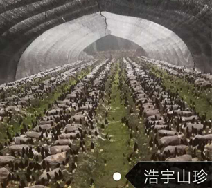 &#26131;&#28216;&#40;&#20013;&#22269;&#41;&#121;&#105;&#121;&#111;&#117;