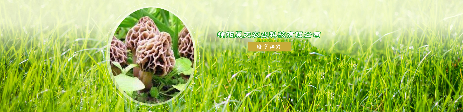 &#26131;&#28216;&#40;&#20013;&#22269;&#41;&#121;&#105;&#121;&#111;&#117;