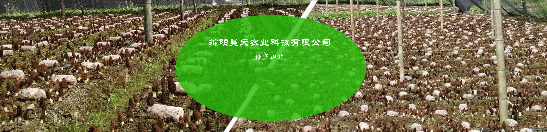 &#26131;&#28216;&#40;&#20013;&#22269;&#41;&#121;&#105;&#121;&#111;&#117;