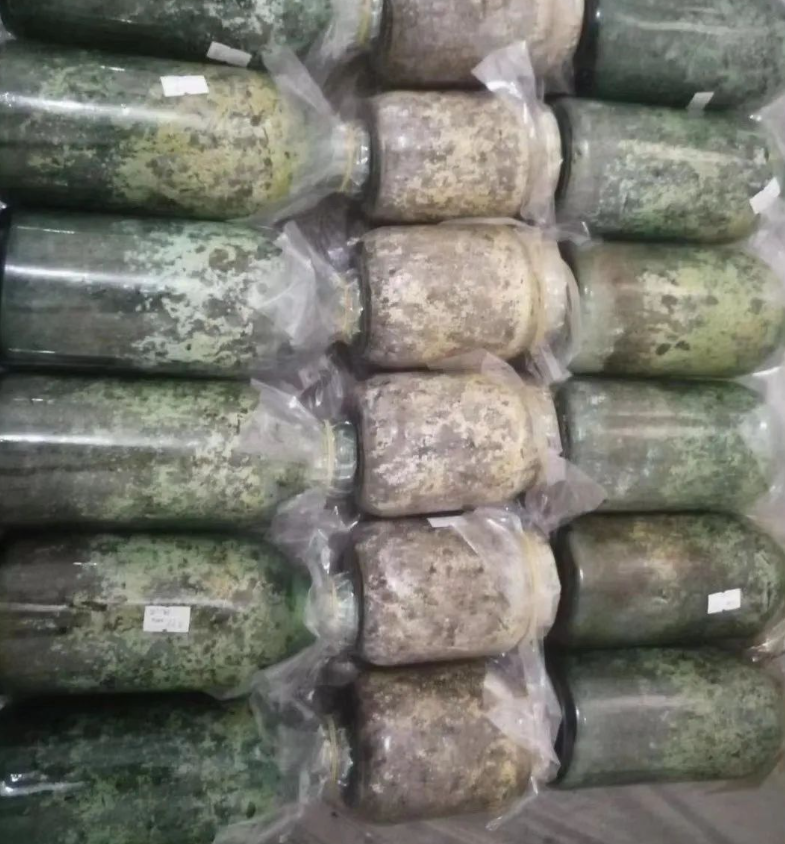 &#26131;&#28216;&#40;&#20013;&#22269;&#41;&#121;&#105;&#121;&#111;&#117;