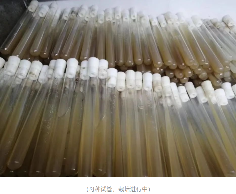 &#26131;&#28216;&#40;&#20013;&#22269;&#41;&#121;&#105;&#121;&#111;&#117;